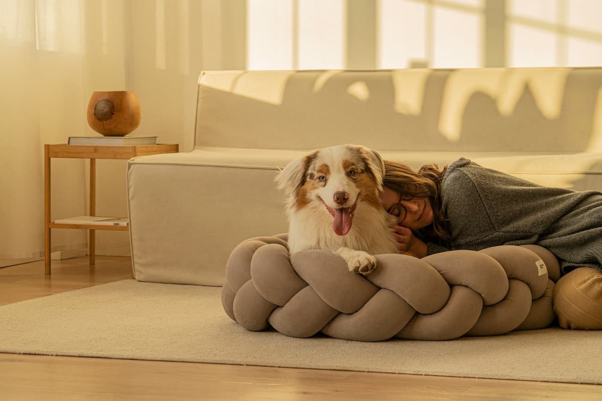 LIKE A DOG — Branding, identyfikacja wizualna,, sklep internetowy