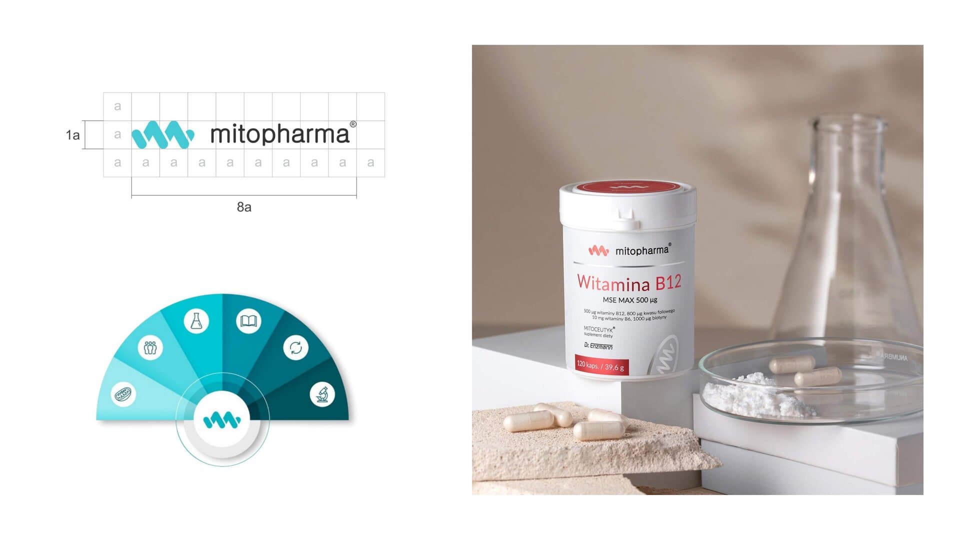 Siatka konstrukcyjna logo Mitopharma, infografika działów i packshot Witamina B12 MSE MAX
